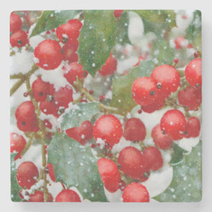 Dessous-de-verre En Pierre Holly Berry Snow Christmas Season Dessous de verre