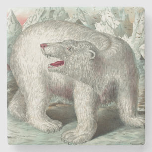 Dessous-de-verre En Pierre iceberg d'hiver de l'ours polaire vintage