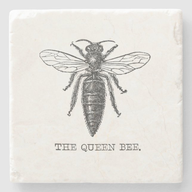 Dessous-de-verre En Pierre Illustration d'antiquité de l'insecte de la reine  (Devant)