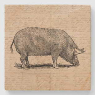 Dessous-de-verre En Pierre Illustration de cochon Style de papier de script d