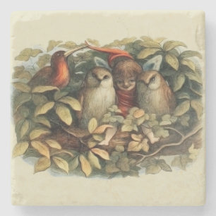 Dessous-de-verre En Pierre Illustration de la nature des hiboux et des fées e