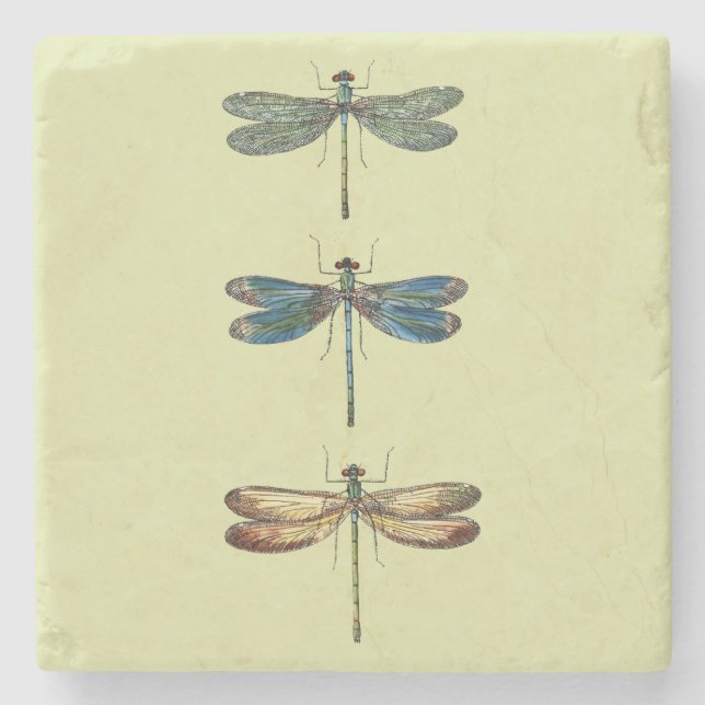 Dessous-de-verre En Pierre Illustrations de libellule (Devant)