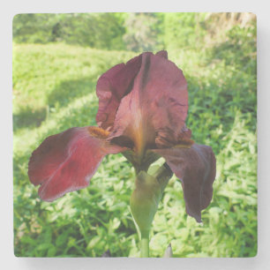 Dessous-de-verre En Pierre Iris à poils