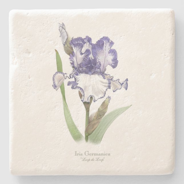 Dessous-de-verre En Pierre Iris pourpre rouillé (Devant)