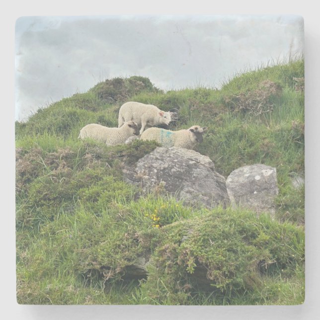 Dessous-de-verre En Pierre Irlande Russe Trois moutons irlandais (Devant)