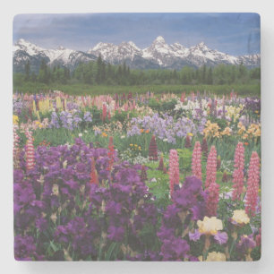 Dessous-de-verre En Pierre Jardin d'Iris et de Lupin et chaîne Teton,