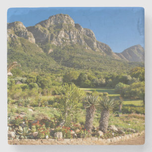 Dessous-de-verre En Pierre Jardins botaniques de Kirstenbosch, Cap