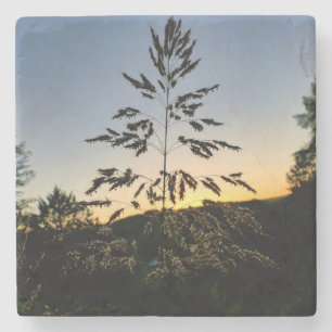 Dessous-de-verre En Pierre Johnson Grass