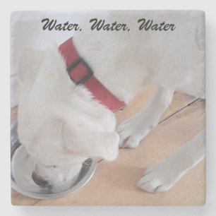 Dessous-de-verre En Pierre Joli chiot Labrador croisé blanc buvant de l'eau