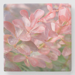 Dessous-de-verre En Pierre Jolie Branche Rose