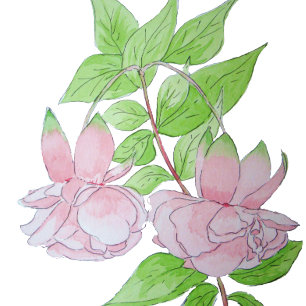 Dessous-de-verre En Pierre jolies fleurs roses sur fleurs arrière - plan noir
