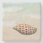 Junonia Seashell sur les Dessous de verre de plage