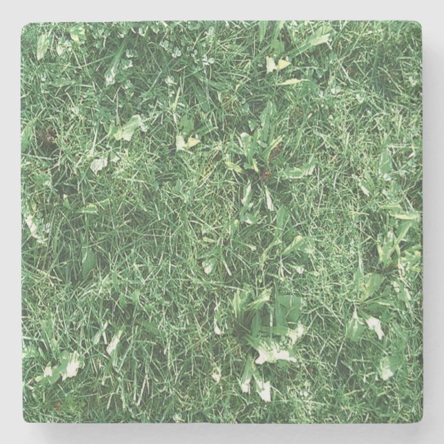 Dessous-de-verre En Pierre Juste de l'herbe (Devant)