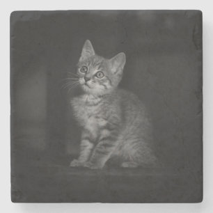 Dessous-de-verre En Pierre Kitten précieux 