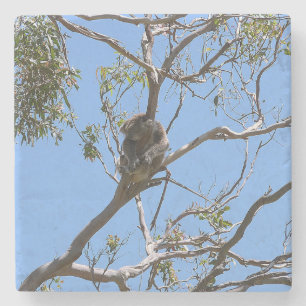 Dessous-de-verre En Pierre Koala Nap