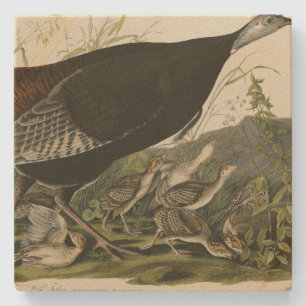 Dessous-de-verre En Pierre La Turquie sauvage des oiseaux d'Amérique d'Audubo