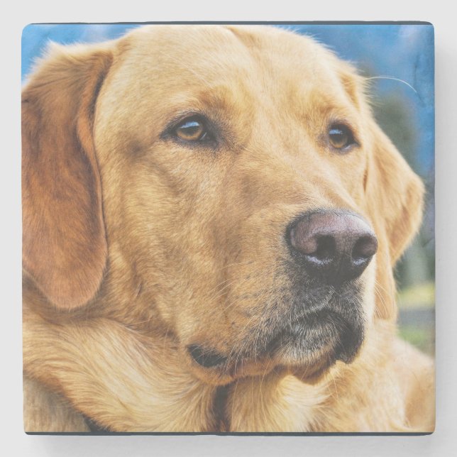 Dessous-de-verre En Pierre Labrador retriever d'or (Devant)