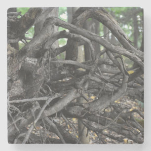 Dessous-de-verre En Pierre L'amour d'un arbre tombé