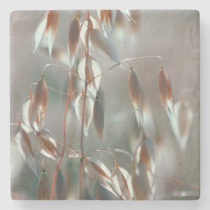 Dessous-de-verre En Pierre L'avoine mûre (Avena Sativa) Ferme. Ceres, Boland