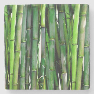 Dessous-de-verre En Pierre Le Bambou vert Stalks Photographie de la nature