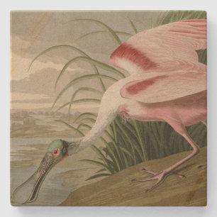 Dessous-de-verre En Pierre Le bec-de-rose des Oiseaux d'Amérique d'Audubon