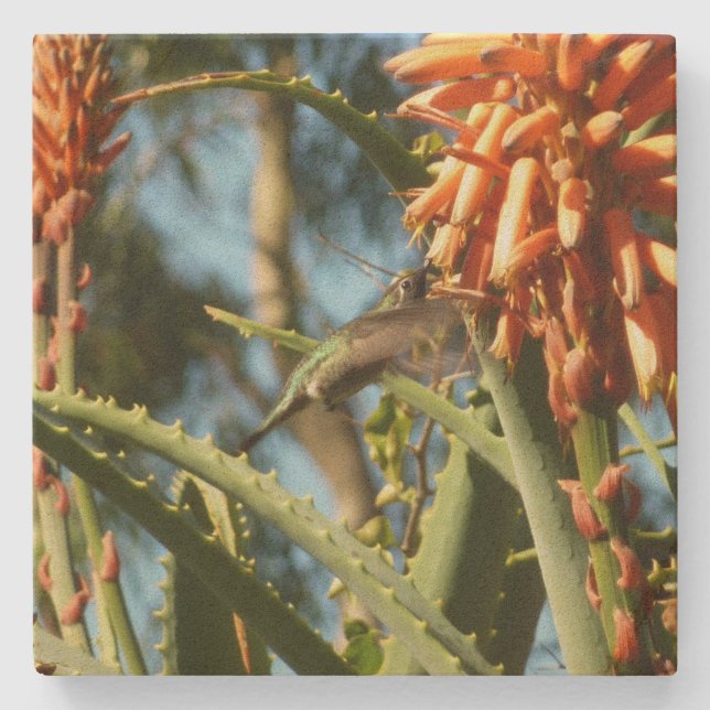 Dessous-de-verre En Pierre Le colibri de Chine noire en vol (Devant)