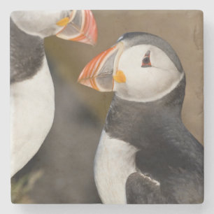 Dessous-de-verre En Pierre Le Puffin Atlantique