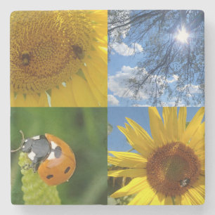Dessous-de-verre En Pierre Le tournesol souriant