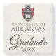 Logo officiel de l'Université de l'Arkansas