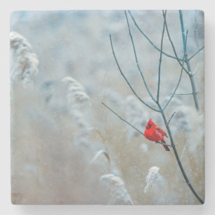 Dessous-de-verre En Pierre Magnifique Cardinal dans la Neige