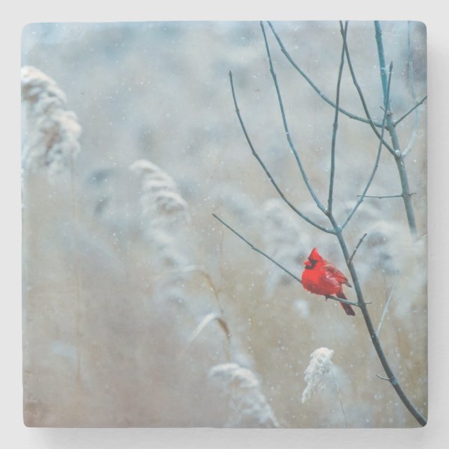 Dessous-de-verre En Pierre Magnifique Cardinal dans la Neige (Devant)