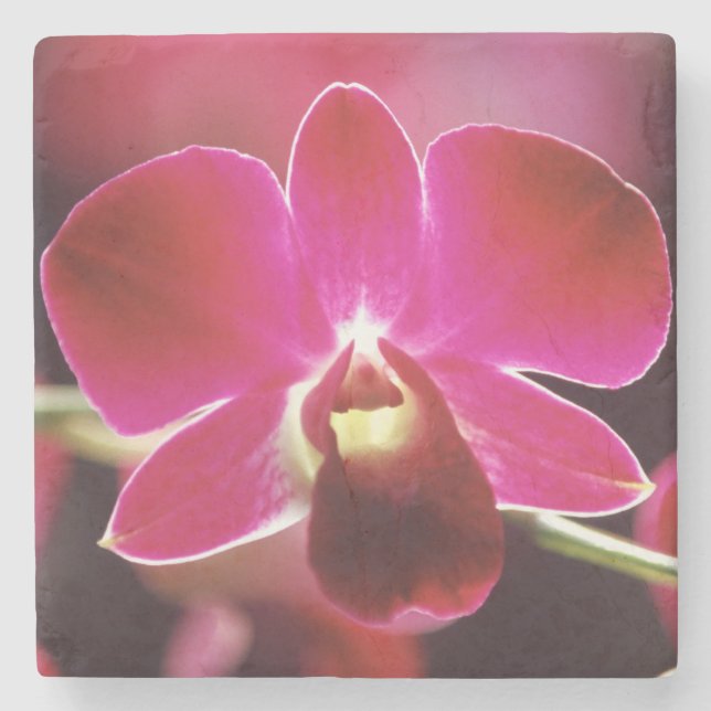 Dessous-de-verre En Pierre Malaisie, orchidée (Devant)
