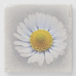 Dessous-de-verre En Pierre marguerite blanche brillante