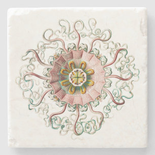 Dessous-de-verre En Pierre Méduse du casque