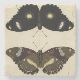 Dessous-de-verre En Pierre Mélange coloré de papillon sur l'arrière - plan