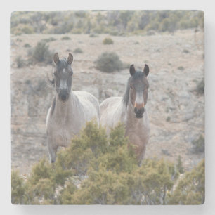 Dessous-de-verre En Pierre Mère et fils du Cheval sauvage