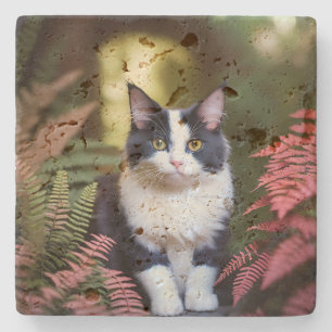 Dessous-de-verre En Pierre Millie Le Chat Ragdoll,