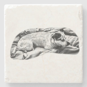 Dessous-de-verre En Pierre Minuscule galerie : Terrier sur Blanket