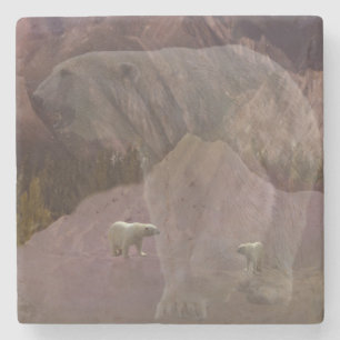 Dessous-de-verre En Pierre Montagne de l'ours polaire, Dessous de verre de pi