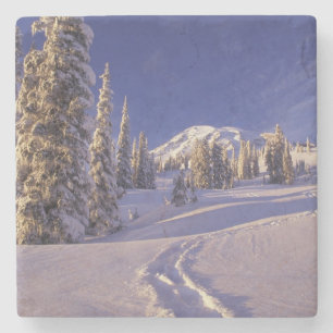 Dessous-de-verre En Pierre NA, États-Unis, Washington, Mt. Rainier NP, raquet
