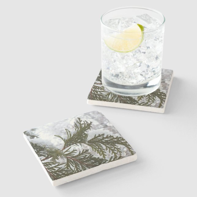 Dessous-de-verre En Pierre Neige sur les branches À feuillage persistant (Côté)