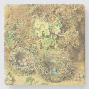 Dessous-de-verre En Pierre Nids de primevères et d'oiseaux