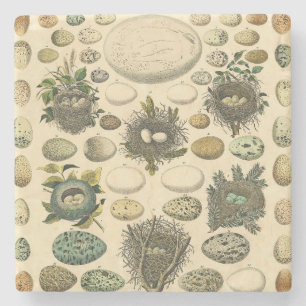 Dessous-de-verre En Pierre OEuf vintage Nid Art Peinture OEufs