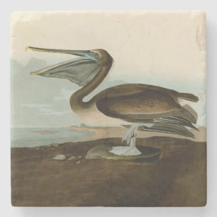 Dessous-de-verre En Pierre Œuvre d'art de Pélican Brun de John James Audubon