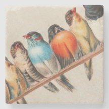 Oiseaux colorés sur une perche 2