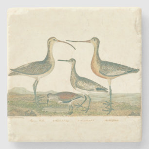 Dessous-de-verre En Pierre Oiseaux de marais Courlis Oiseaux