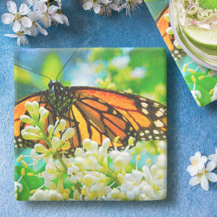 Dessous-de-verre En Pierre Orange Monarch Papillon Blanc Fleur Photographie