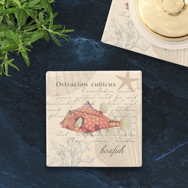 Dessous-de-verre En Pierre 🐠 Orange Vintage Illustration Nautique (🐠 Vintage Orange Boxfish Illustration Nautical Stone Coaster
)
