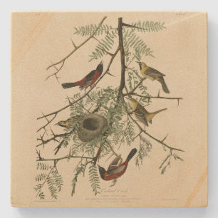 Dessous-de-verre En Pierre Orchard Oriole des Oiseaux d'Amérique d'Audubon