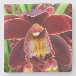 Dessous-de-verre En Pierre Orchidées de Maroon I Beau Floral Rouge